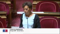 Déclarations d'intérêts et d'activités des parlementaires : 