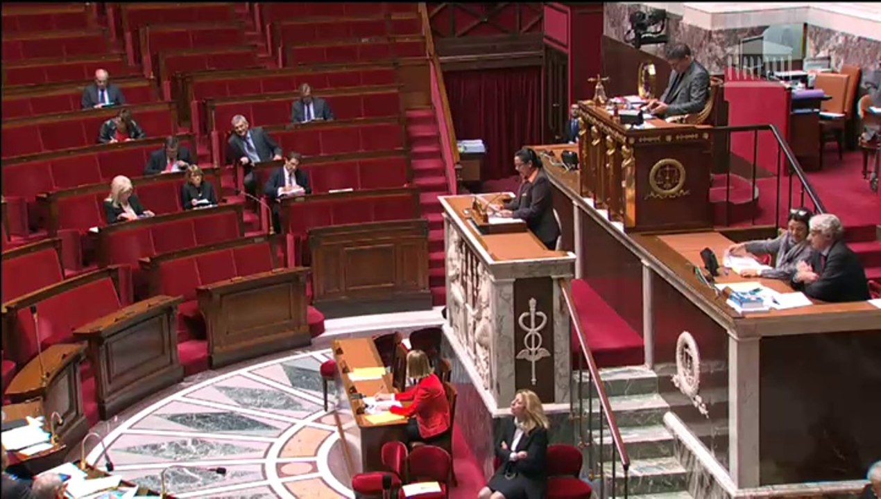 Discussion générale du projet de loi UMP Simplification et développement du travail, de la formation et de l'emploi