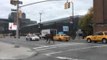 Police Chase Runaway Horse in New York