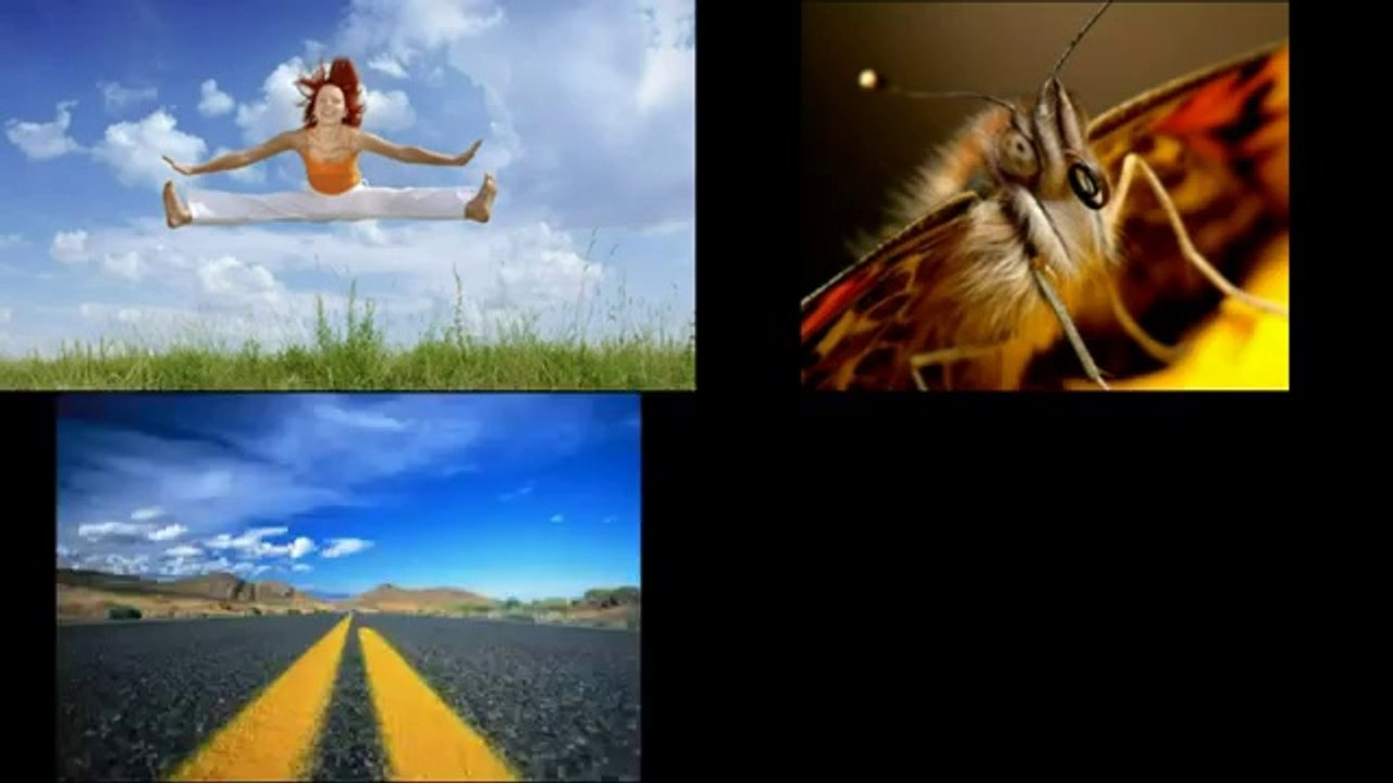 Digital Photography Success