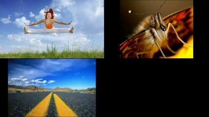 Digital Photography Success