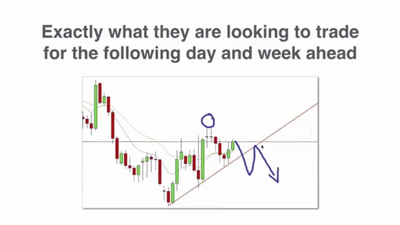 Learn Trade Forex with Forex Mentor PRO