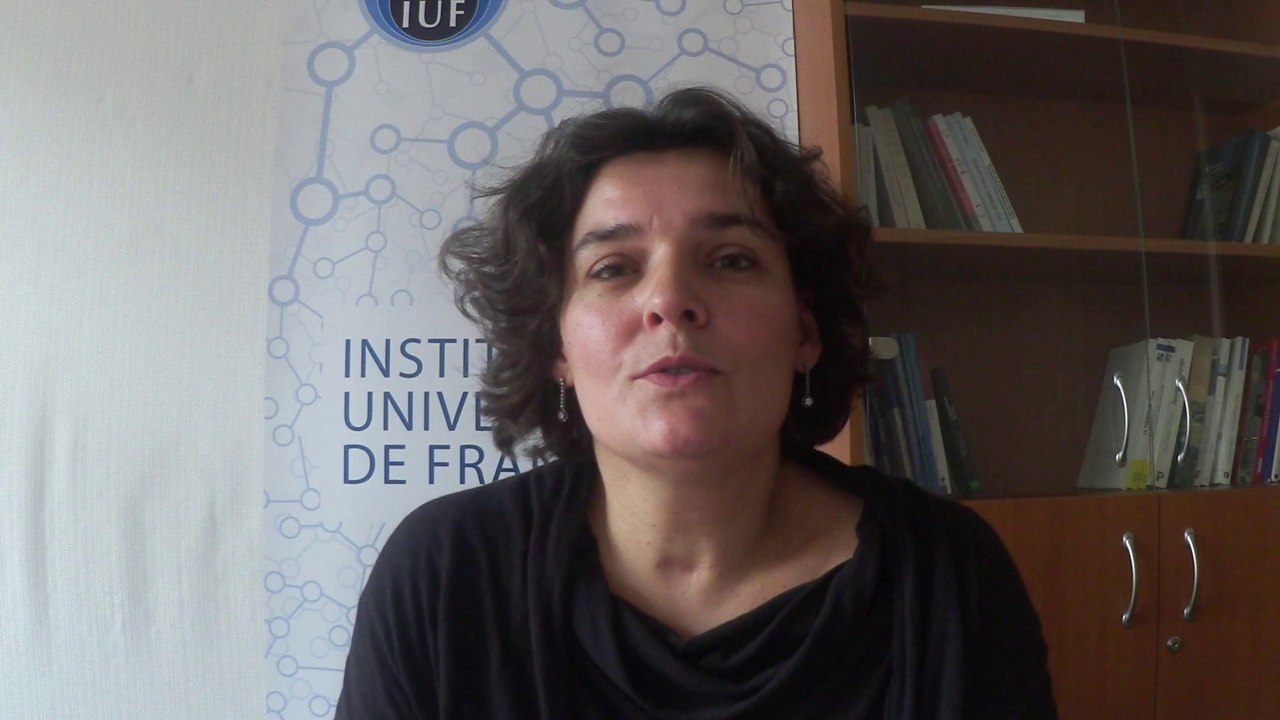 Guillemette MENOT, Maître de Conférences à Aix-Marseille Université