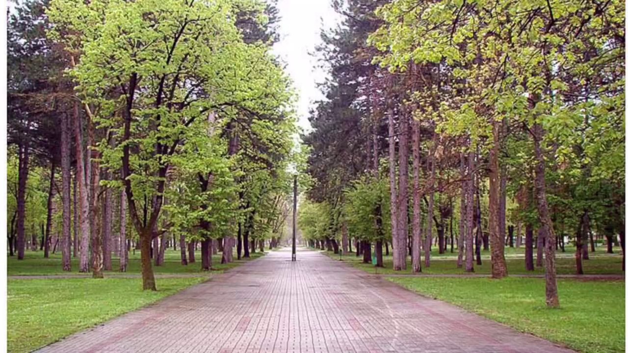 И за тебе се работи