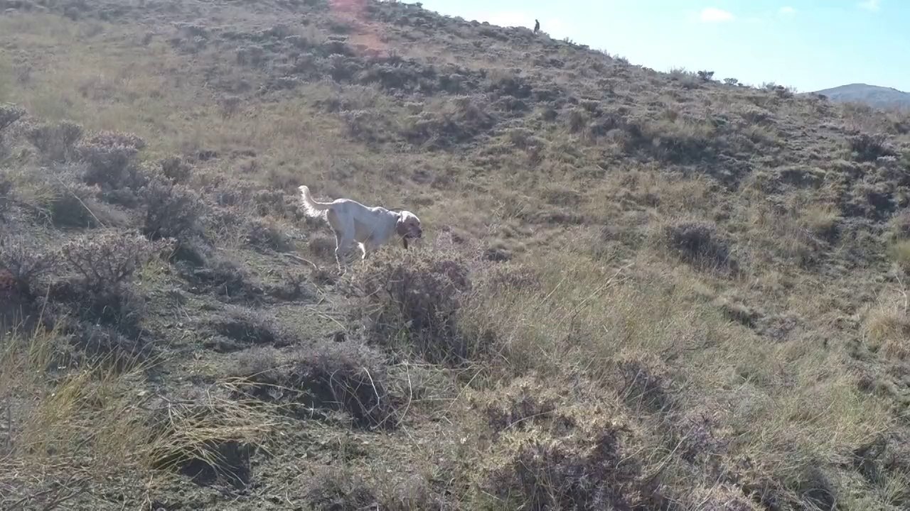 ELENORUN TAVŞANA FERMASI