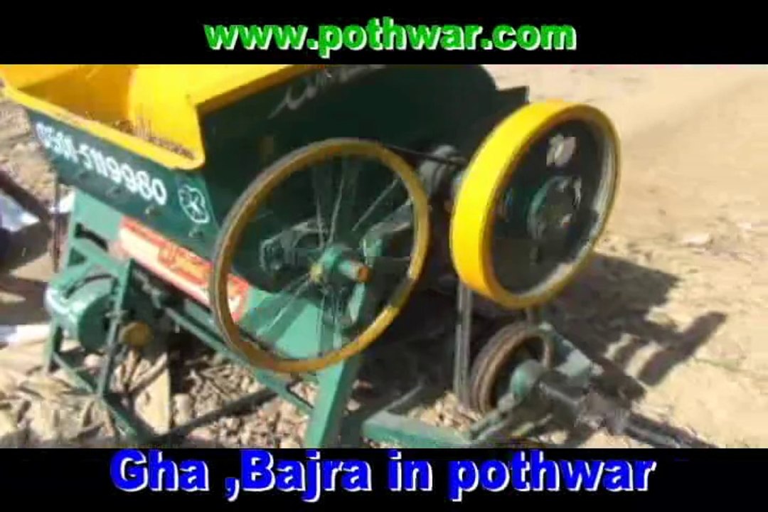 gha bajra