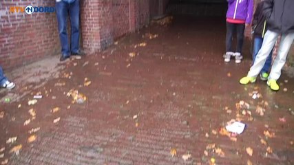 Hoe ging het eraan toe in Delfzijl? - RTV Noord