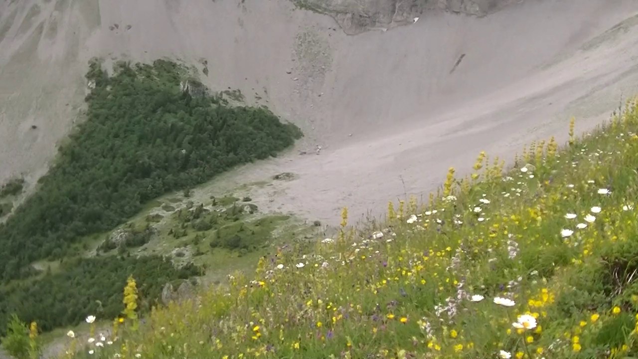 Bachillianne 19-07-2014