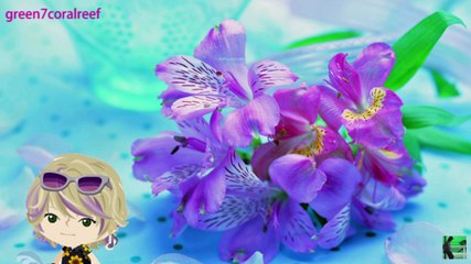 Never Gonna Fall in Love Again...