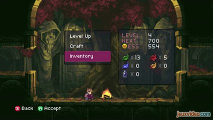 L'univers du jeu indépendant - Chasm - Un petit Metroid-like ?