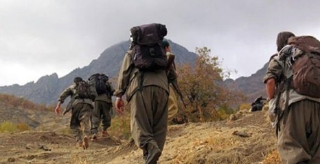 Diyarbakır'da Kaçırılan 10 kişi Serbest Bırakıldı