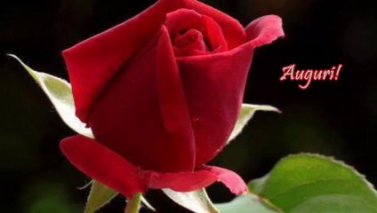 Auguri di Buon Compleanno!