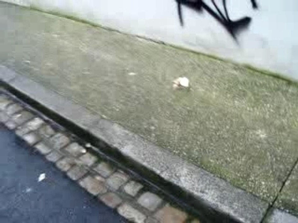 Petard_painauchocolat