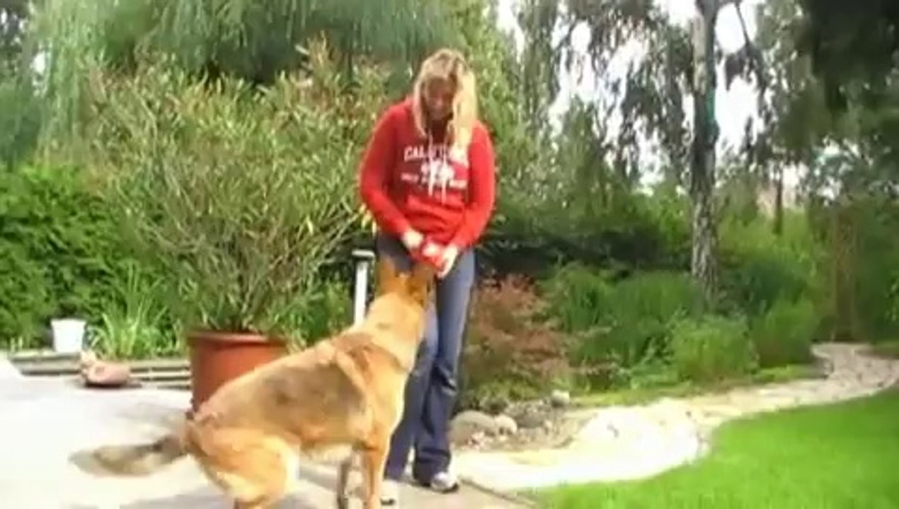 Clickertraining Juli 2009.mpg