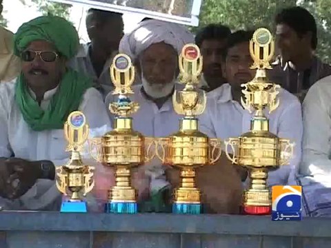 Bull race competition in Sargodha-Geo Reports-22 Oct 2014