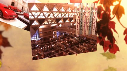 DMS Moving Companies Call 734-207-8200