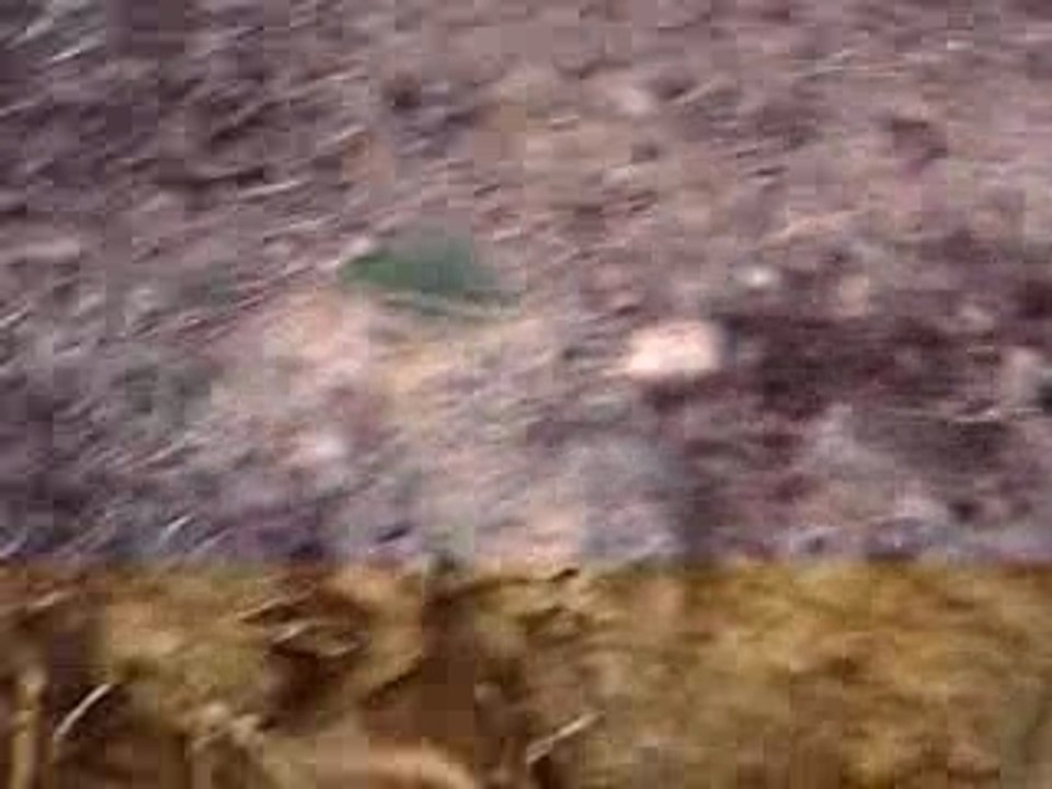 IMAG0492