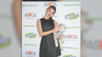Sarah Hyland Champions Pet Adoption