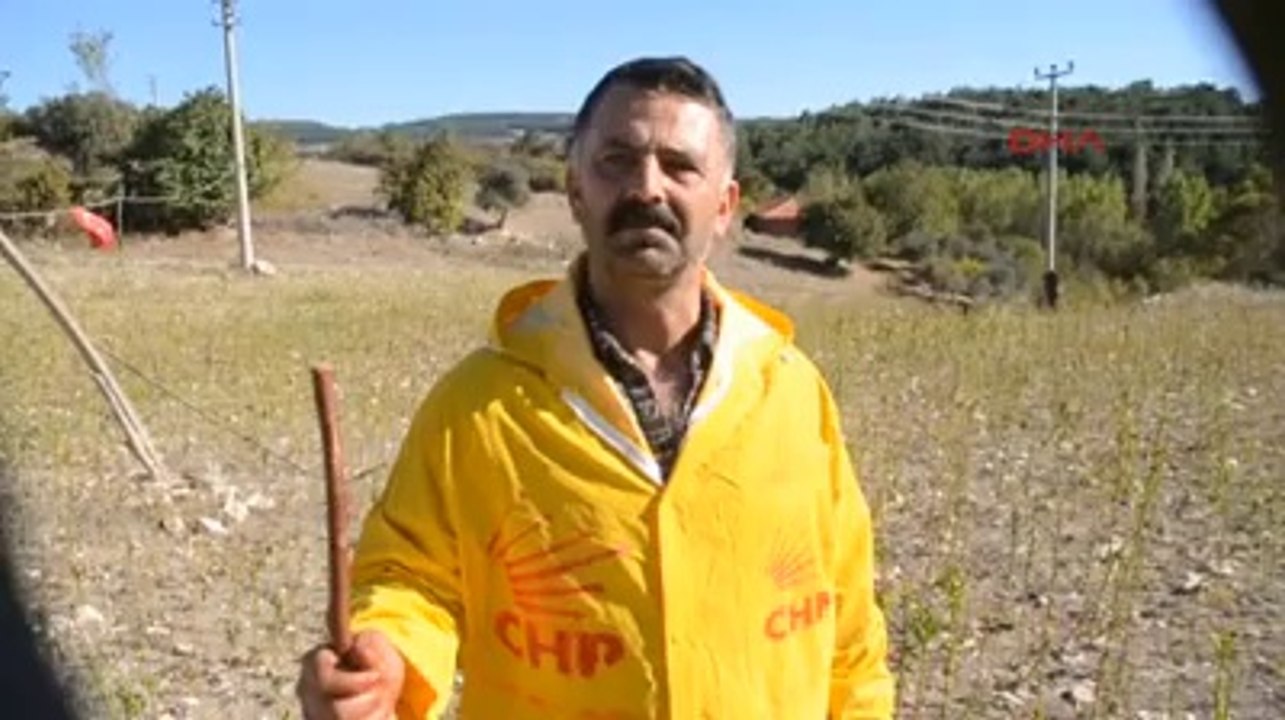 CHP Eski başkanı Koyunları CHP'li yaptı
