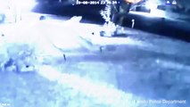 Surveillance Cam Catches Thief Stealing Halloween Inflatable Cat