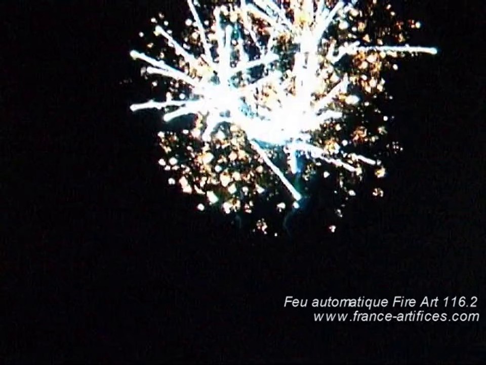 fire art 116.2