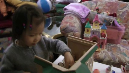 Girl And Sylvanian Families