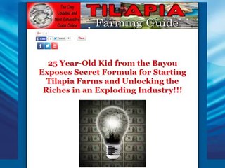 Tilapia Farming Guide