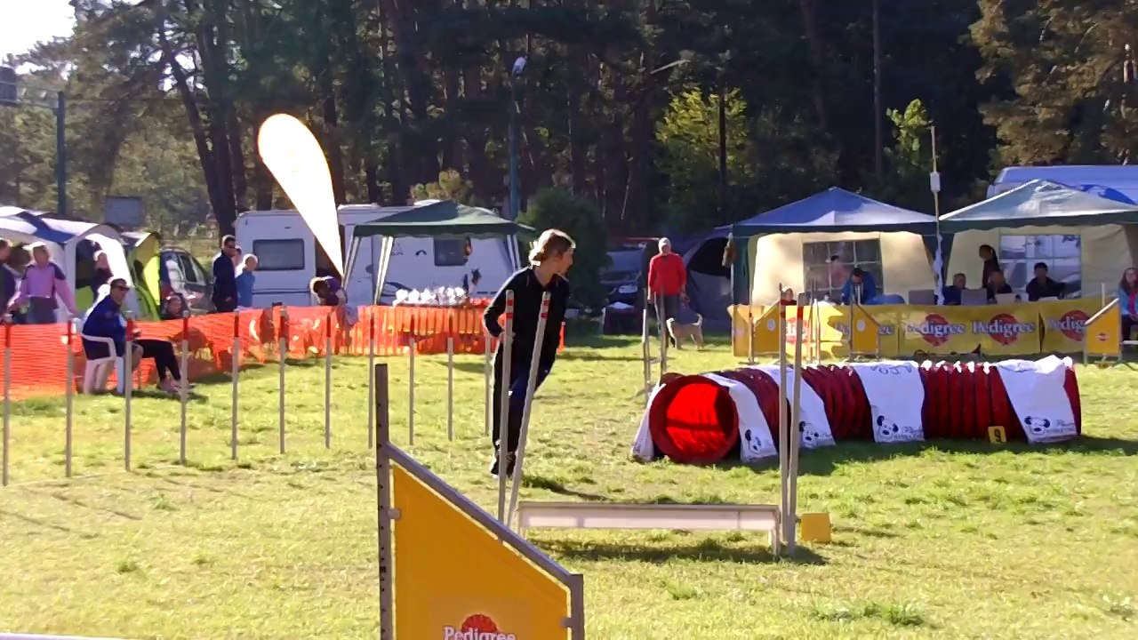 Agility Kamenny Mlyn Cocker 01