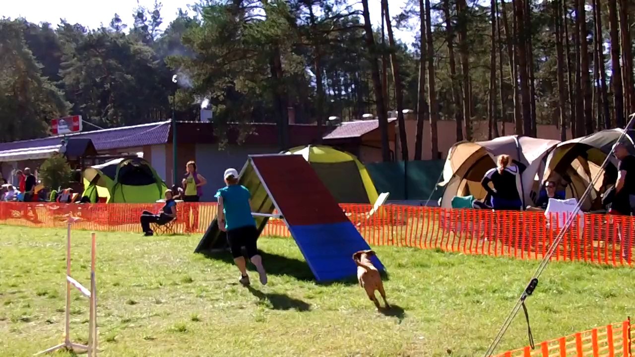 Agility Kamenny Mlyn Kiara 02