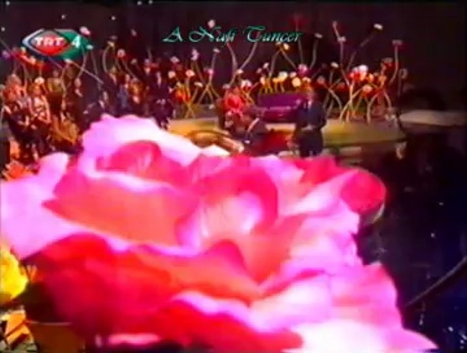 Yaşar ÖZEL *Hani Yosun Rengi Gözlerin Olacaktı Senin* (Bir Nisan Akşamında)