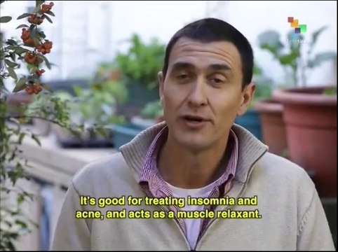 Know Your Body - Steroids and Sports