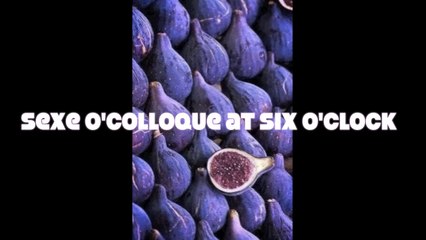 Nouvelles & Toiles du Litt'Oral