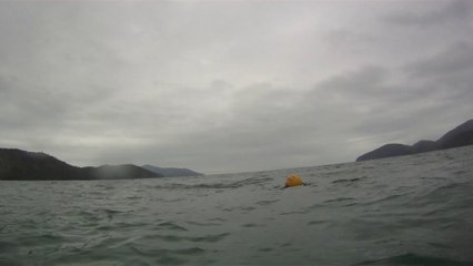 Mares, SUP, Stand-up paddle, Reciclado, PET, Praia da Enseada, Ubatuba, SP, Brasil, Marcelo Ambrogi, (21)