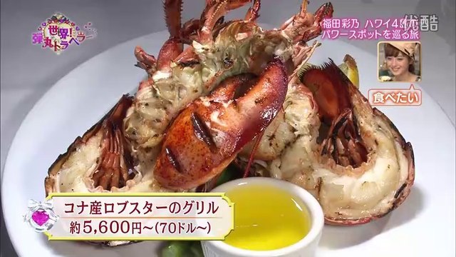 「ハワイ4島のパワースポットを巡る旅」 世界!弾丸トラベラー