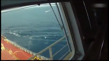 Security Contractors Eliminate Attacking Somali Pirates