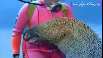 Une plongeuse apprivoise un poisson