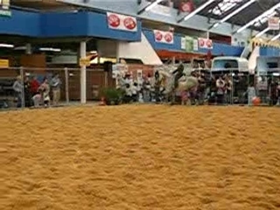 MVI_5147