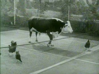 The Beverly Hillbillies - Jed Buys Stock