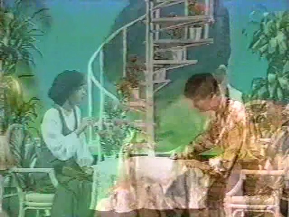 夢で逢えたら  今年の秋こそ