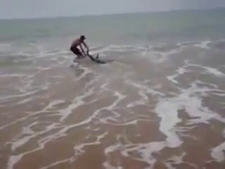 Il sauve un requin échoué sur la plage ! Quel courage !