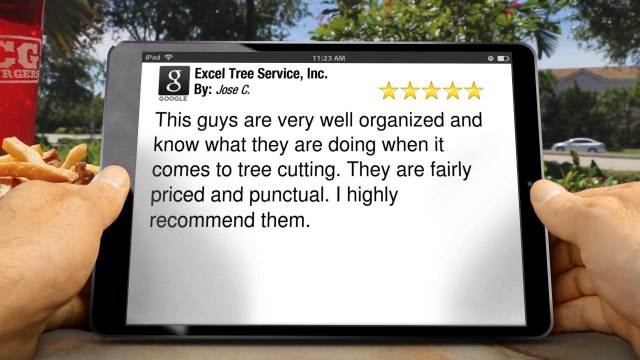 Tree Service Miami Excel Tree Service, Inc. Miami Superb Five Star Review by Jose C.