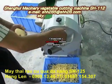 Máy cắt củ quả đa năng, máy cắt rau, máy bào sợi, máy cắt lát củ quả SH125, lh 0909134877