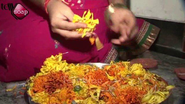 Roshni Walia of Maharana Pratap Celebrates Diwali