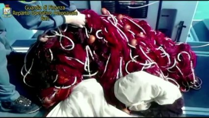 Barletta (BAT) - Lotta alla pesca clandestina (23.10.14)