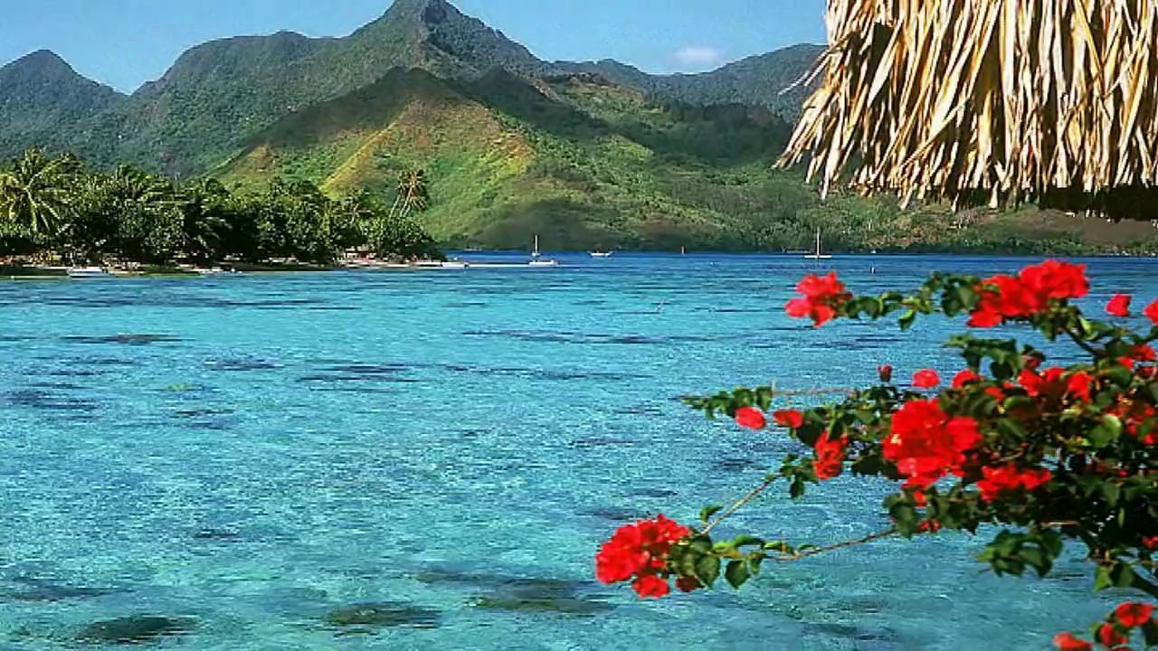 52 - Imágenes de relajación y música de paz total