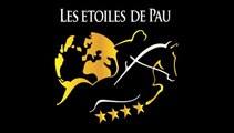 Les étoiles de Pau 2014