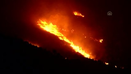 Bodrum'da Makilik Alanda Yangın
