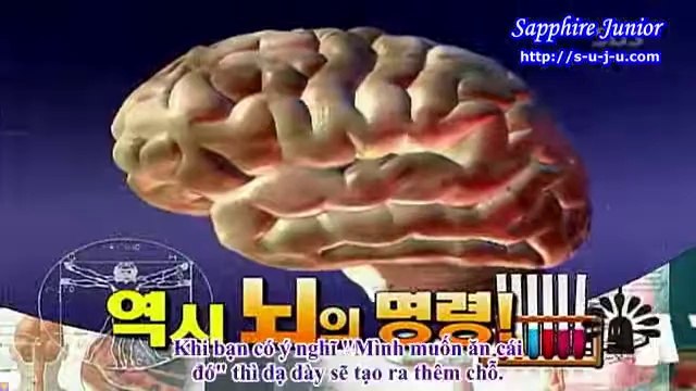 [Vietsub] Exploration of the human body Super Junior Ep 2-4
