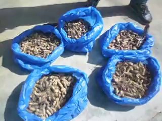 PROJET ADDR BOUNDIALI // EXPLICATION DU CARRE DE RENDEMENT PAR L'AGENT DE SUIVI TIEMELE MALAN