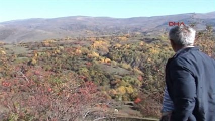 Posof'ta Renk Cümbüşü